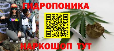 стафф Заводоуковск