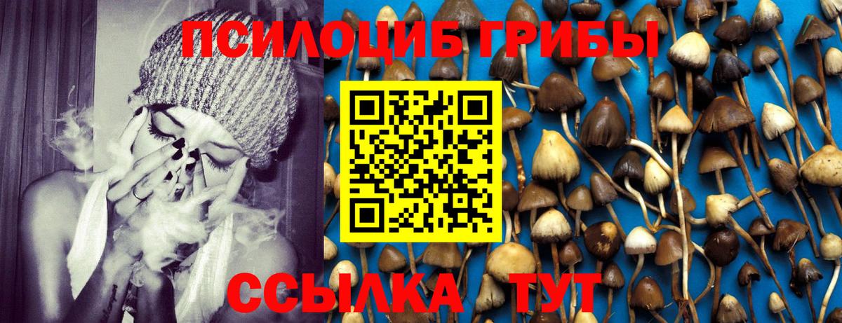 Галлюциногенные грибы Magic Shrooms Донской